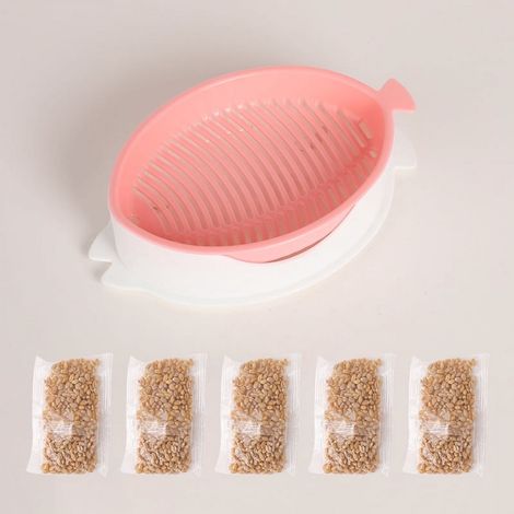 Boîte De Culture Pour Herbe À Chats - Culture Hydroponique Sans Sol - Dimensions 16 X 10,2 X 4,3 Cm - 1 Unité (1/5)