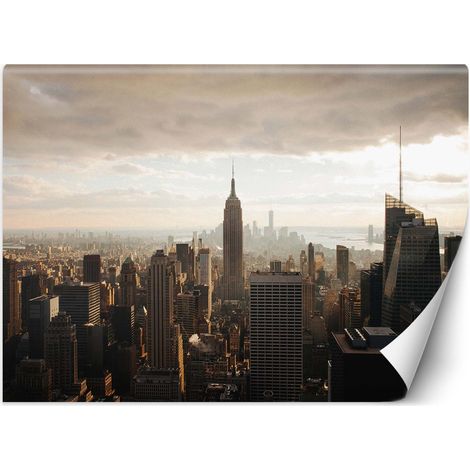 Carta Da Parati, New York Manhattan USA - 350x245 (1/5)