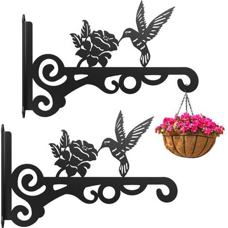 BelleRise - Ensemble de 2 supports muraux pour plantes, idéal pour l'intérieur et l'extérieur - 25 cm (1/5)