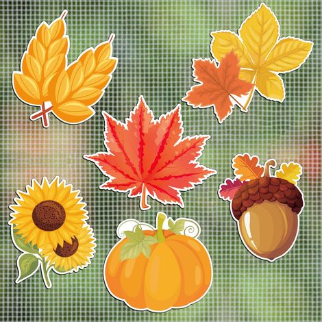 12 Pièces Aimants Décoratifs pour Porte Moustiquaire, Protecteur Magnétique Double Face Flexible Feuille Érable Tournesol, Autocollants Magnétiques Fenêtre Décoratif pour Animaux Enfants Oiseaux (1/5)