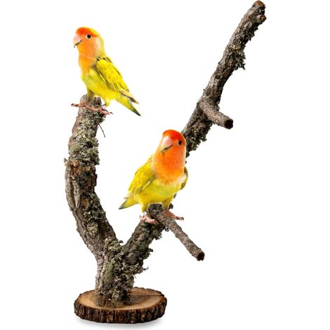 Árbol BioCork sobre una base de ramas de alcornoque para loros de 40 cm. (1/5)