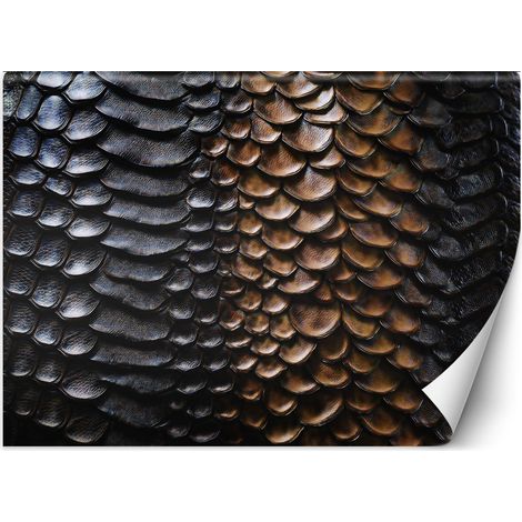 Fototapete Schlangenhaut Textur 250x175 cm (1/5)