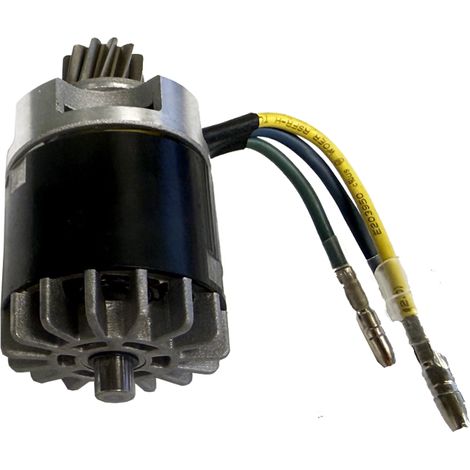 Motore elettrico per mietitrice elettrica Oleo 30/T (1/3)