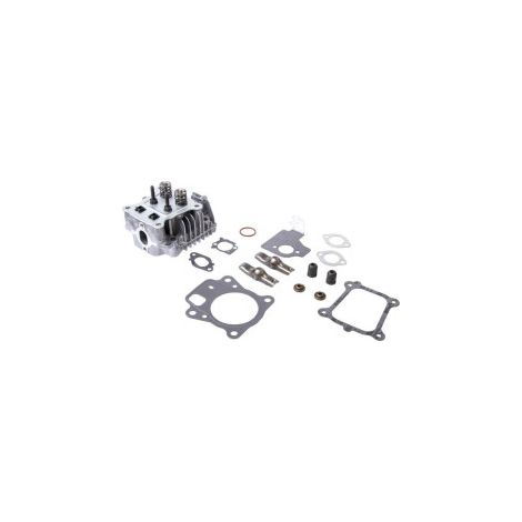Cylinder head BRIGGS ET STRATTON 84003960