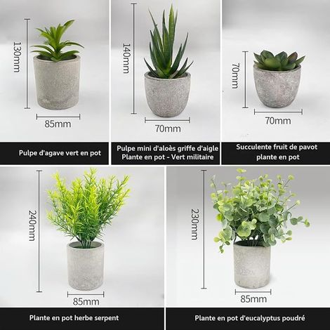 Artificial Plants, Mini Artificial Plants Indoor Serpentine, Succulent Agave, Eucalyptus Globulus, Eagle Claw Aloe Vera, for Bedroom Office Decoration (1/4)