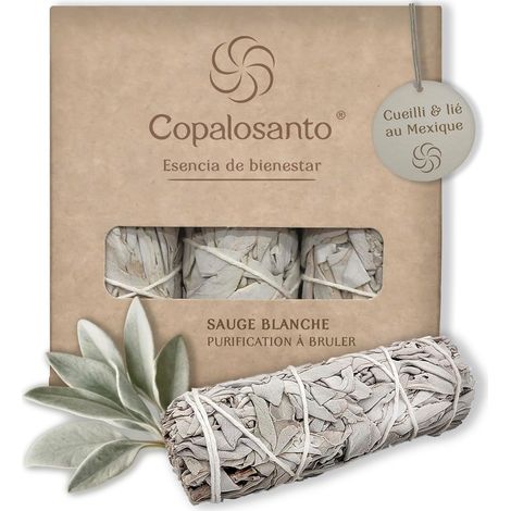 Lot 3 Sauge Blanche Purification A Bruler Baton Encens Naturel Maison Rituel Relaxant Protection Energetique Nettoyage Spirituel Purificateur Atmosphere Esoterisme Meditation Bienetre Cadeau Positif (1/5)