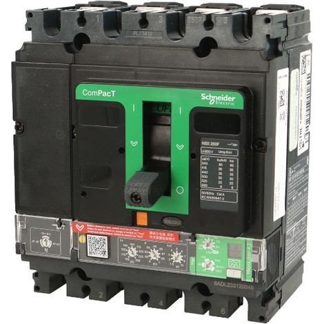 Schneider Electric – Disjoncteur bipolaire 250A – Courbe de déclenchement Vigi – Capacité de coupure 36kA – Montage fixe pour environnements industriels