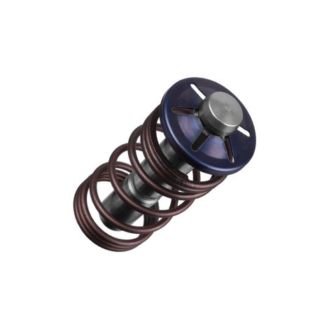 Karcher piston complet inclus ressort pour nettoyeur haute pression 90025220, 9.002-522.0