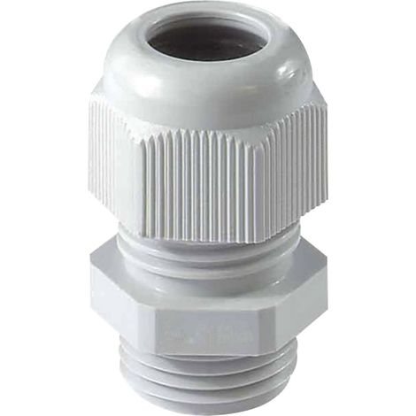 Kabelverschraubung M20x1,5 RAL 7035 lichtgrau, SW24/24 (1/2)