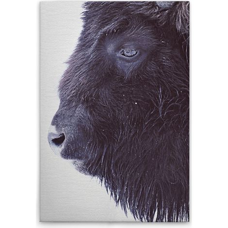 Leinwandbild Tiere Büffel M1-No.51081 - Kunstdruck auf Leinwand in Schwarz Weiß - Wandbild 30 x 45 cm (1/5)