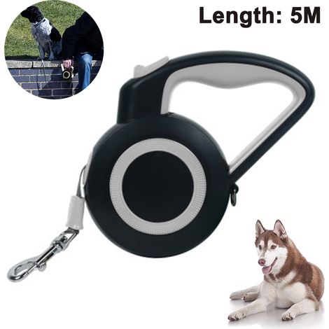 Laisse Rétractable Chien - Ruban Nylon 5 M - Frein À Une Main Avec Verrouillage Pause - Poignée Antidérapante - Réfléchissante - Pour Chiens Moyens Et Grands (1/5)