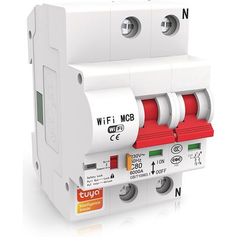 Tuya Interruttore Modulare Smart WiFi 40A  2 Pulsanti (1/3)