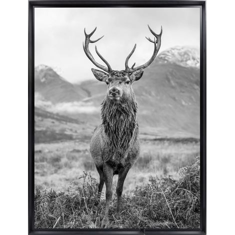 Tableau mural encadré portrait cerf élégant 60x80 cm - Tableau Mural Décoratif - Image Encadrée Imprimée en HD - Impression 60x80 cm sur Fibres de Bois FSC - Finition Mate - Fabriqué en France