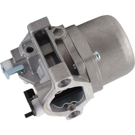 Carburateur moteur pour Briggs & Stratton 285707, 289707, 28B705, 28M707 (1/4)
