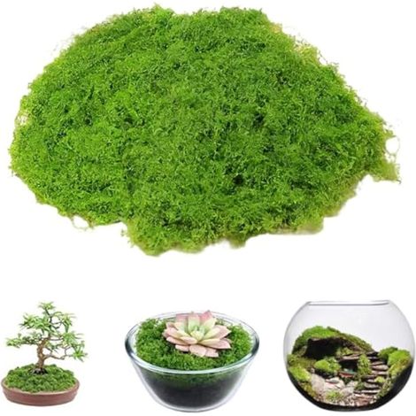 Fausse Mousse Végétale Decorative Mousse Artificielle Vert Pomme – 300g – Aspect Naturel, Souple – Décor de Noël, Pâques, Centres de Table, Miniature – pour Maison, Crèche, DIY, Atelier (1/5)