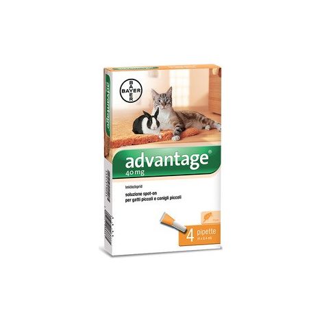 Advantage antiparassitario spot-on 4 pipette per gatti e conigli fino a 4 kg (1/4)