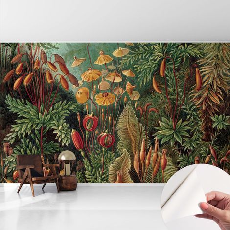 Carta da parati autoadesiva - fotomurale - decorazione parete - stile elegante - decorazione casa - Giardino esotico 416x254 cm (1/5)