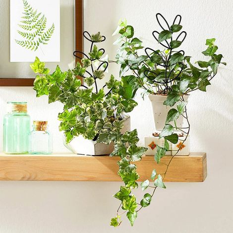 Rankhilfe für Kletterpflanzen, Gartenspalier, Blumentopfstütze, weiß, 11,5 x 31,5 cm (1/4)