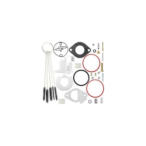 Kit de reparación de carburador 796184 compatible con el kit completo de reacondicionamiento de carburador Nikki 698787, 699900, 699521, 792369, 790032, Craftsman 11-19 HP, números de pieza: 210807, 2