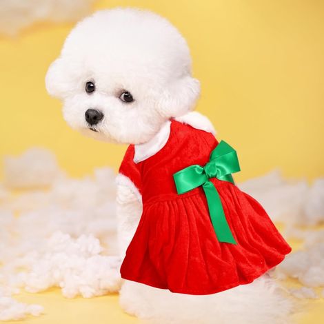 Robe de Noël pour animal taille L, velours rouge avec bandeau (1/5)