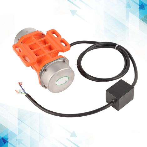Vibrateur à béton miniature monophasé 220 V 3000 tr/min, avec moteur asynchrone et boîtier en alliage d'aluminium. Étanchéité IP66. Puissance : 100 W. (1/5)