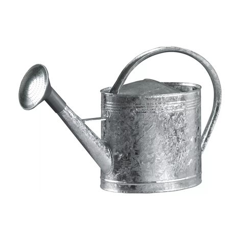 arrosoir en acier galvanise 13L avec pomme plastique et grille acier