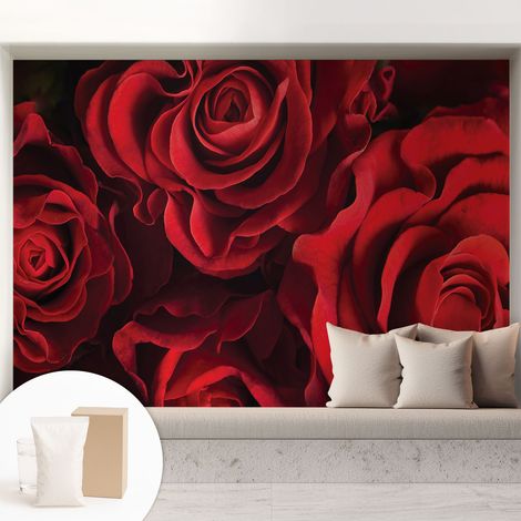 Papier peint intissé avec imprimé pour décoration intérieure pour rénovation a motif - Colle incluse gratuite Roses rouges 208x146 cm (1/5)