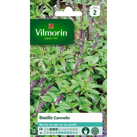 5872246 Pack de Graines Basilic Cannelle (1/5)