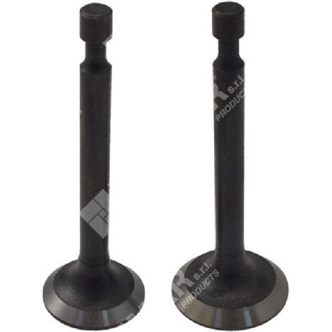 Kit Valvole di aspirazione e scarico per motori LONCIN Compatibile - 049362