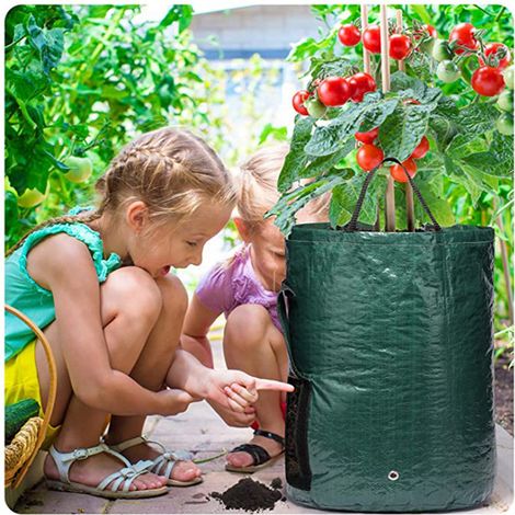 Sac de culture PE pour pommes de terre, tomates et légumes, 3 gallons 25x22cm, vert foncé, avec fenêtre aérée, pot de plantation respirant. (1/4)
