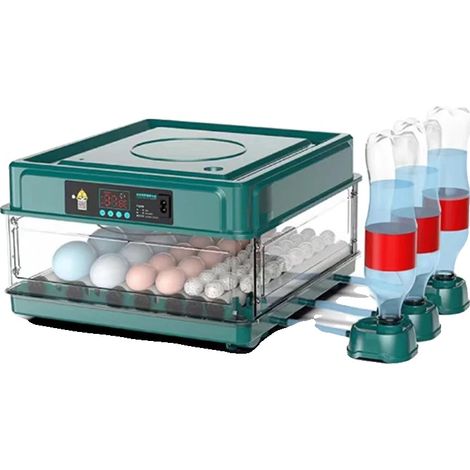 Incubateur automatique, capacité 36 œufs, pour œufs de volaille, avec contrôle de la température, pour l'incubation à domicile et l'élevage de volailles contrôlé.-AquaForge