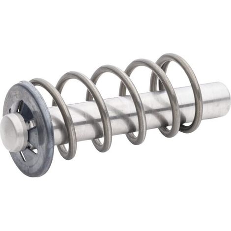 Pistone completo solo per Kärcher 4.553-231.0 (1/5)