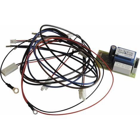 Scheda elettronica per anodo