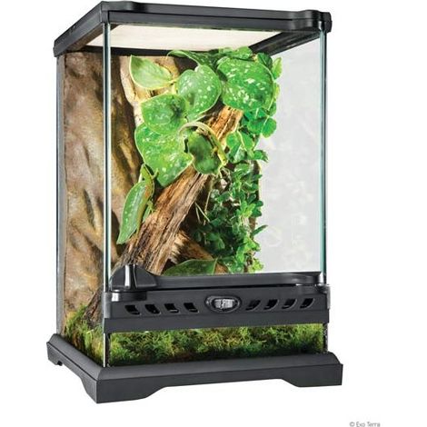 Exo Terra Terrarium 16 l nano-hauteur 22x22x33 cm