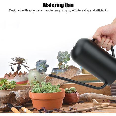 Professionelle 1,5-Liter-Gießkanne aus Edelstahl für den Garten mit langem Ausguss (1/5)