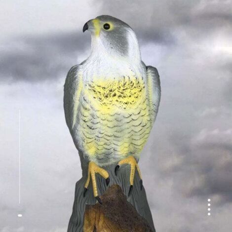 Falke, Vogelabschreckungsköder, realistische Farbgebung, beige, Einheitsgröße (1/5)