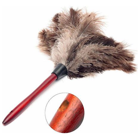 royaluxe -Plume d'autruche plumeau plumeau plumeau en bois brosse plume de poussière (1/5)