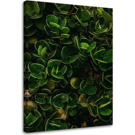 Tableau déco Vert exotique Feuilles 40x60 (1/5)