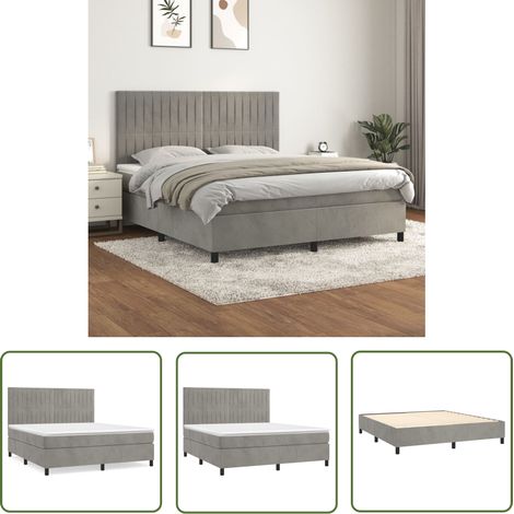 The Living Store Boxspringbett mit Matratze Hellgrau 160x200 cm Samt - Boxspringbett - Samtbett - Doppelbett - Himmelbett - Bett Mit Matratze (1/5)