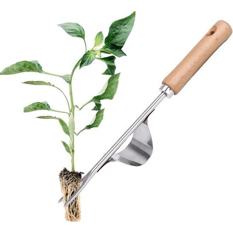 Arrache-mauvaises herbes 31 cm en acier inoxydable avec manche en bois, extracteur de racines pour désherber et ameublir le sol, outil de jardinage (1/5)