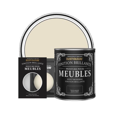 Peinture pour Meubles Brillante - Écume (1/2)