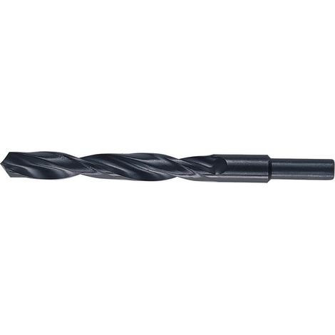 Punte Hss Codolo 13 Mm D 15,0 Mm - 3 Pz (1/2)