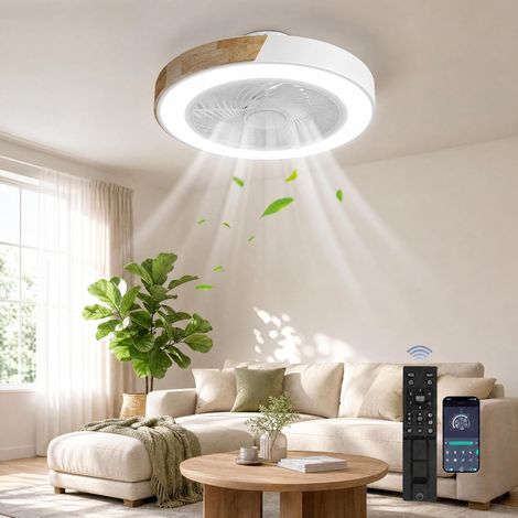 Ceiling Fan with Lighting, Ceiling Light, 3 Color Temperatures and 6 Speed, LED Ceiling Fan with Lamp, Silent Dimmable for Dining Room (B) (1/5)