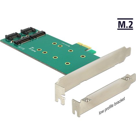 Pcie x1  2 x m.2 key b low profile form faktor delock