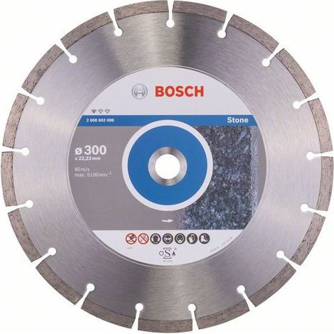 Bosch  Disco  de  diamante  Standard  for  Stone  300x22,23x3,1x10  mm  2608602698