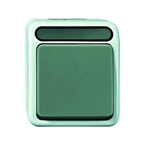 Merten Kreuzschalter lgr mit AP IP44 1-fach AQUASTAR MEG3117-8029 (1/5)