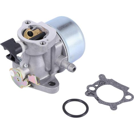 Carburateur avec joint O- pour remplacement de moteur 498965 (1/5)