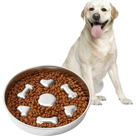 Gamelle anti-étouffement en métal pour chien, en acier inoxydable, pour une alimentation lente et ludique. (1/5)