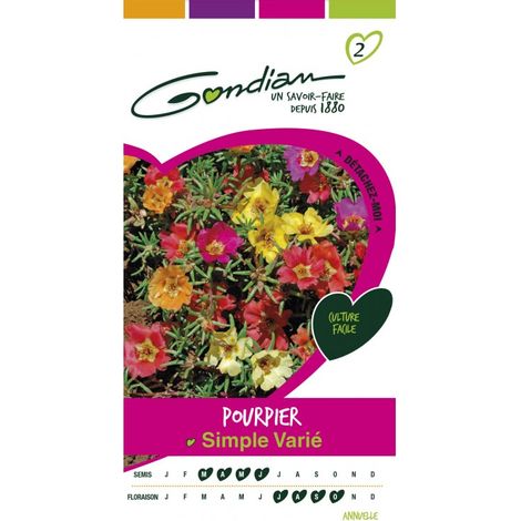 Gondian - Pourpier Simple varié (1/3)