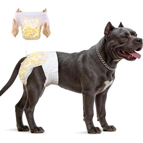 Lot de 30 Couches jetables pour Chiens - Taille XL - Élastique 360° (1/5)